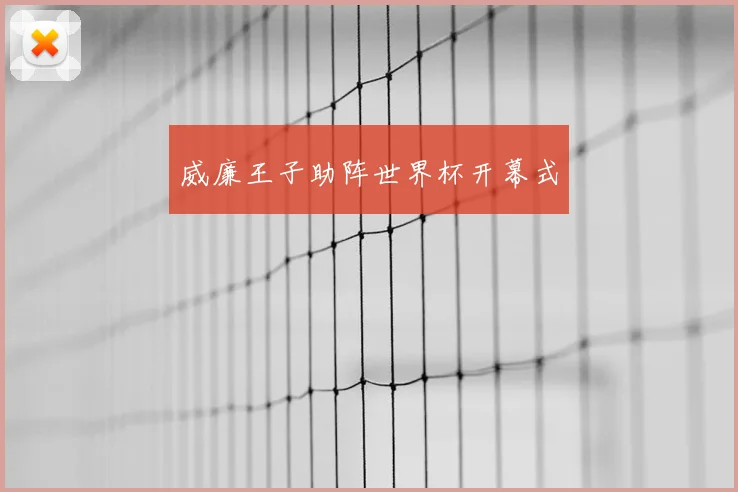 威廉王子助阵世界杯开幕式