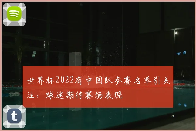 世界杯2022有中国队参赛名单引关注,球迷期待赛场表现